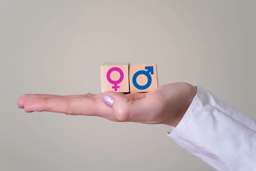 Understanding the Sexual Response Cycle